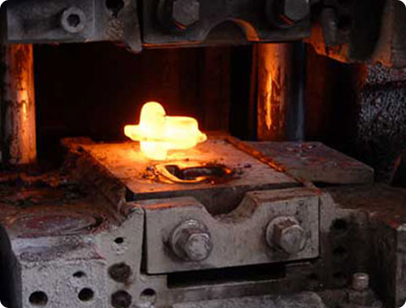 Forgings & Rings