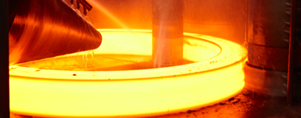 Forgings & Rings